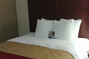 Room & Suite