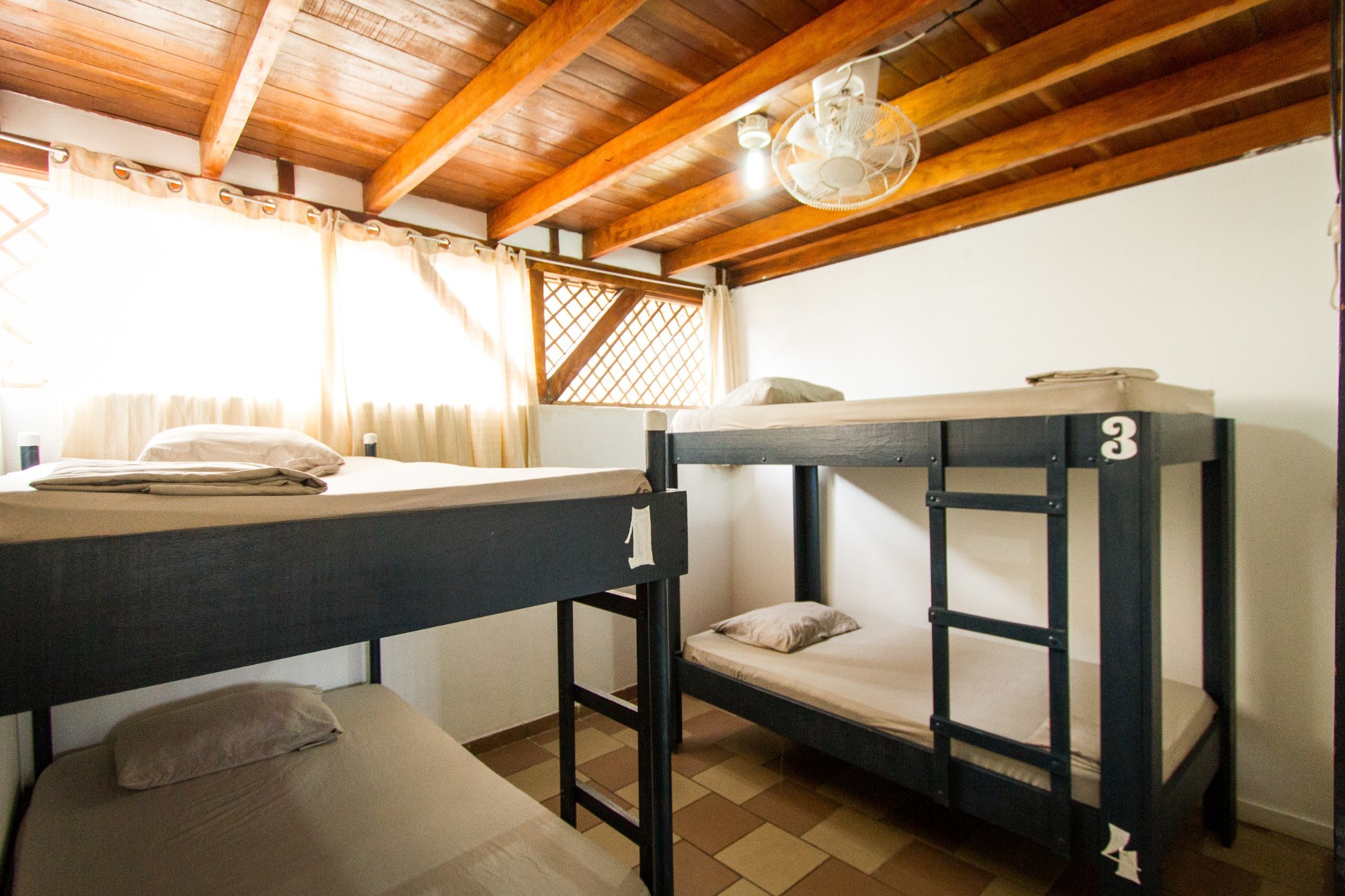 The Lion Fish Hostel by null