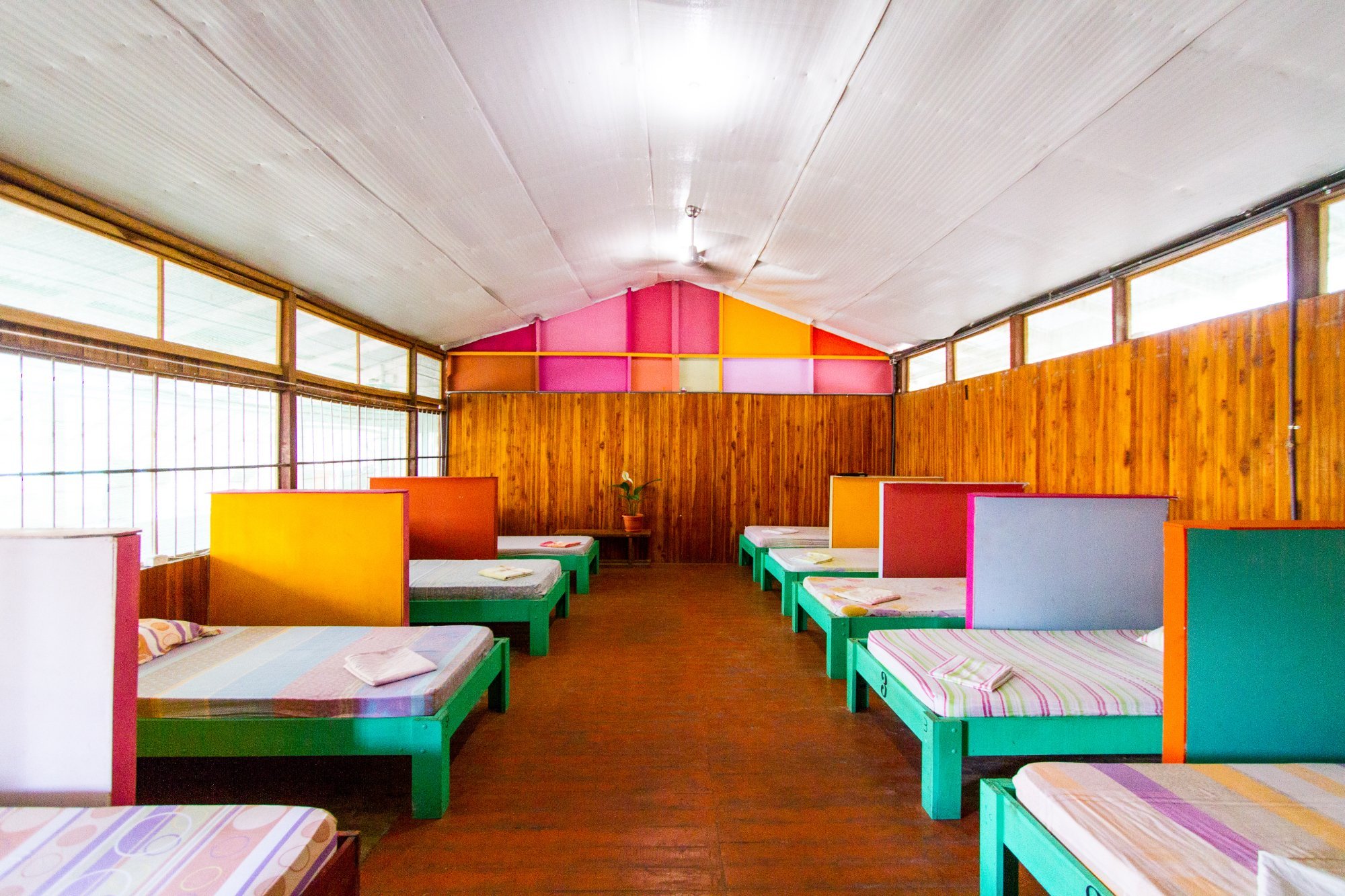 The Lion Fish Hostel by null