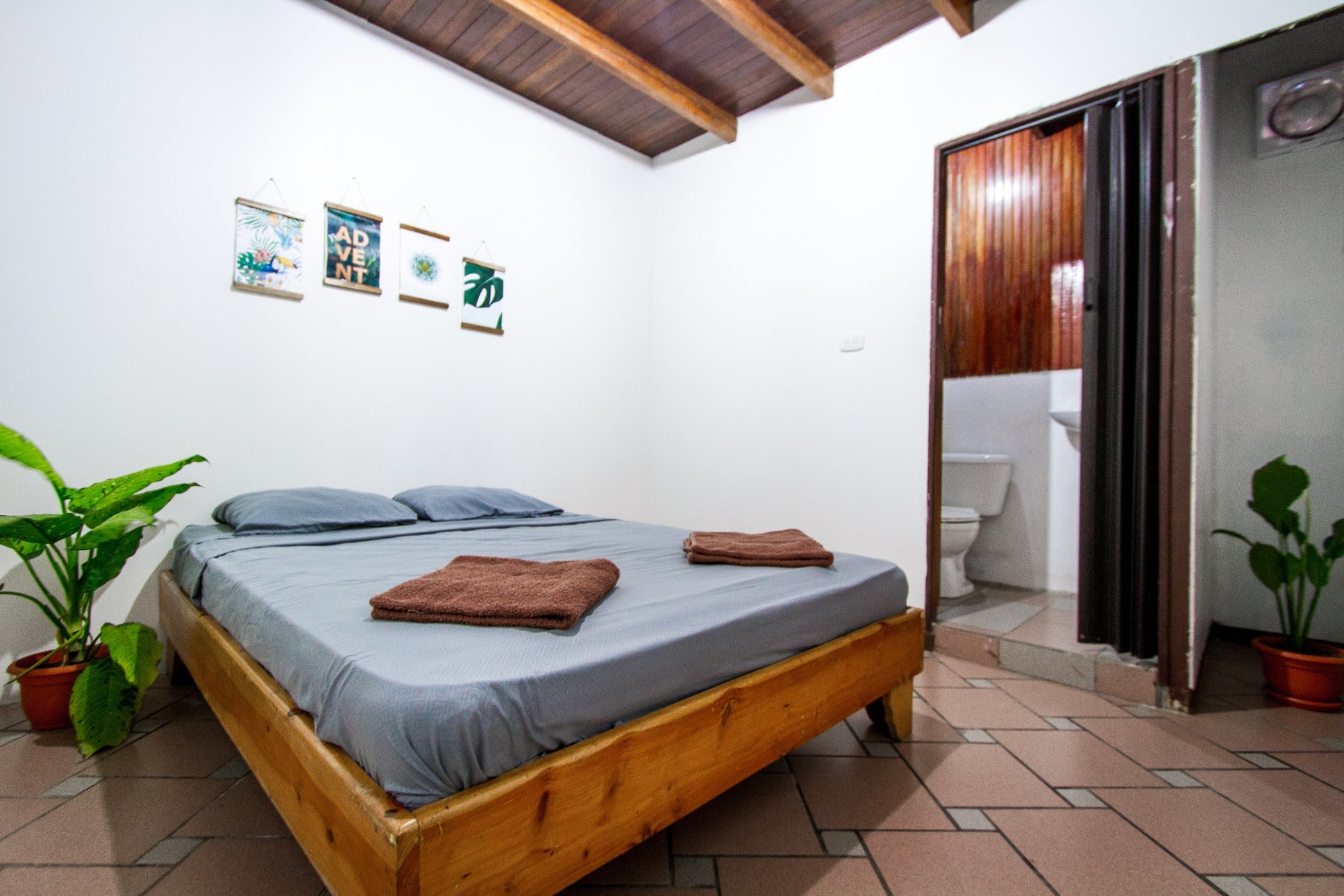 The Lion Fish Hostel by null