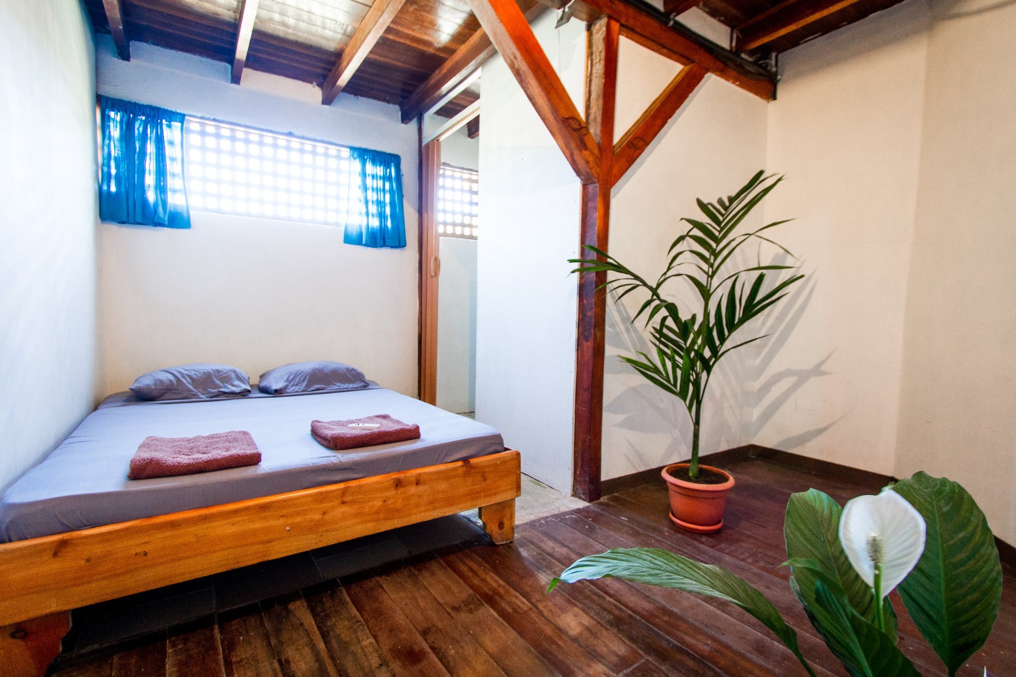 The Lion Fish Hostel by null