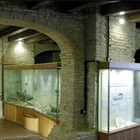 Il museo paleontologico - l'evoluzione della vita marina e la conquista della terra ferma