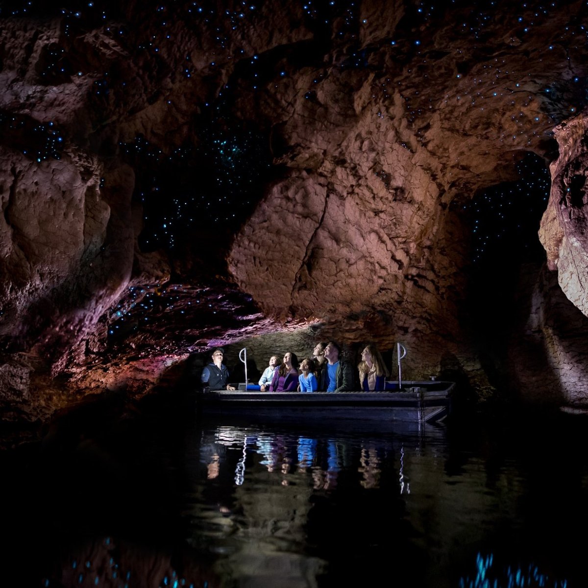 TE ANAU GLOWWORM CAVES (2025) - All You MUST Know Before You Go (with ...