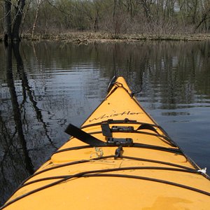 Great Alma Fishing Float - All You Need to Know BEFORE You Go (2024)