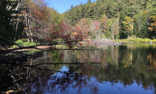 Bracebridge, Ontario 2024: Best Places to Visit - Tripadvisor