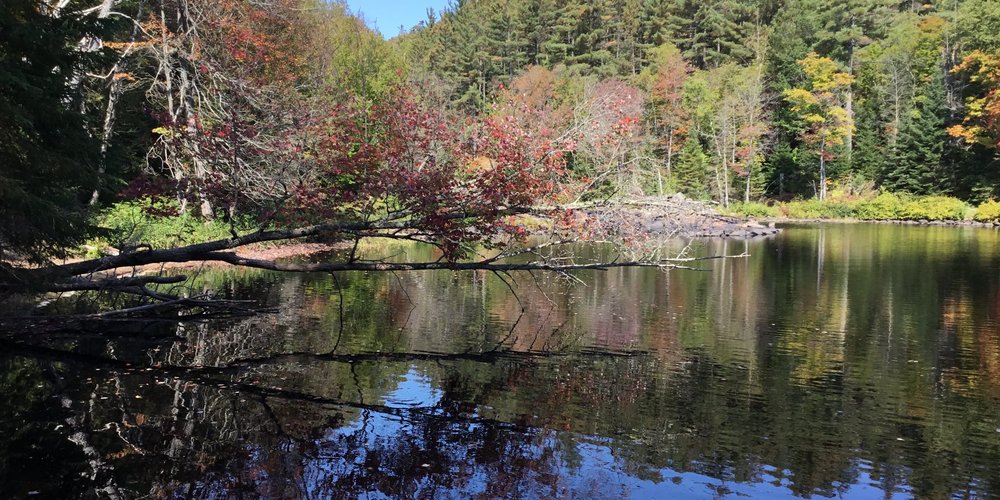 Bracebridge, Ontario 2023: Best Places to Visit - Tripadvisor