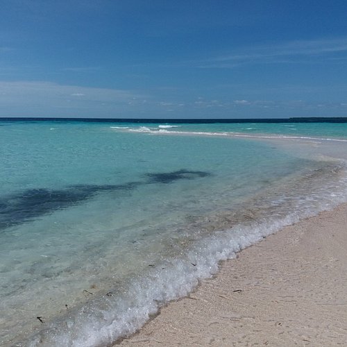 Snappers and Yahoo - Picture of Mojo Sport Fishing and Tours, Caye Caulker  - Tripadvisor