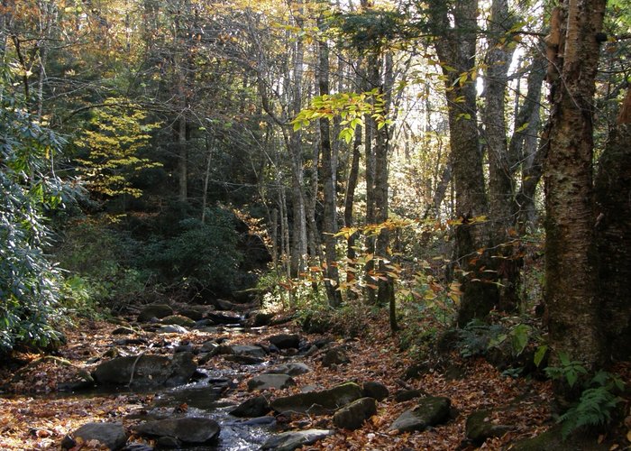 Grandfather Mountain State Park gives hikers a wonderful day in the outdoors.