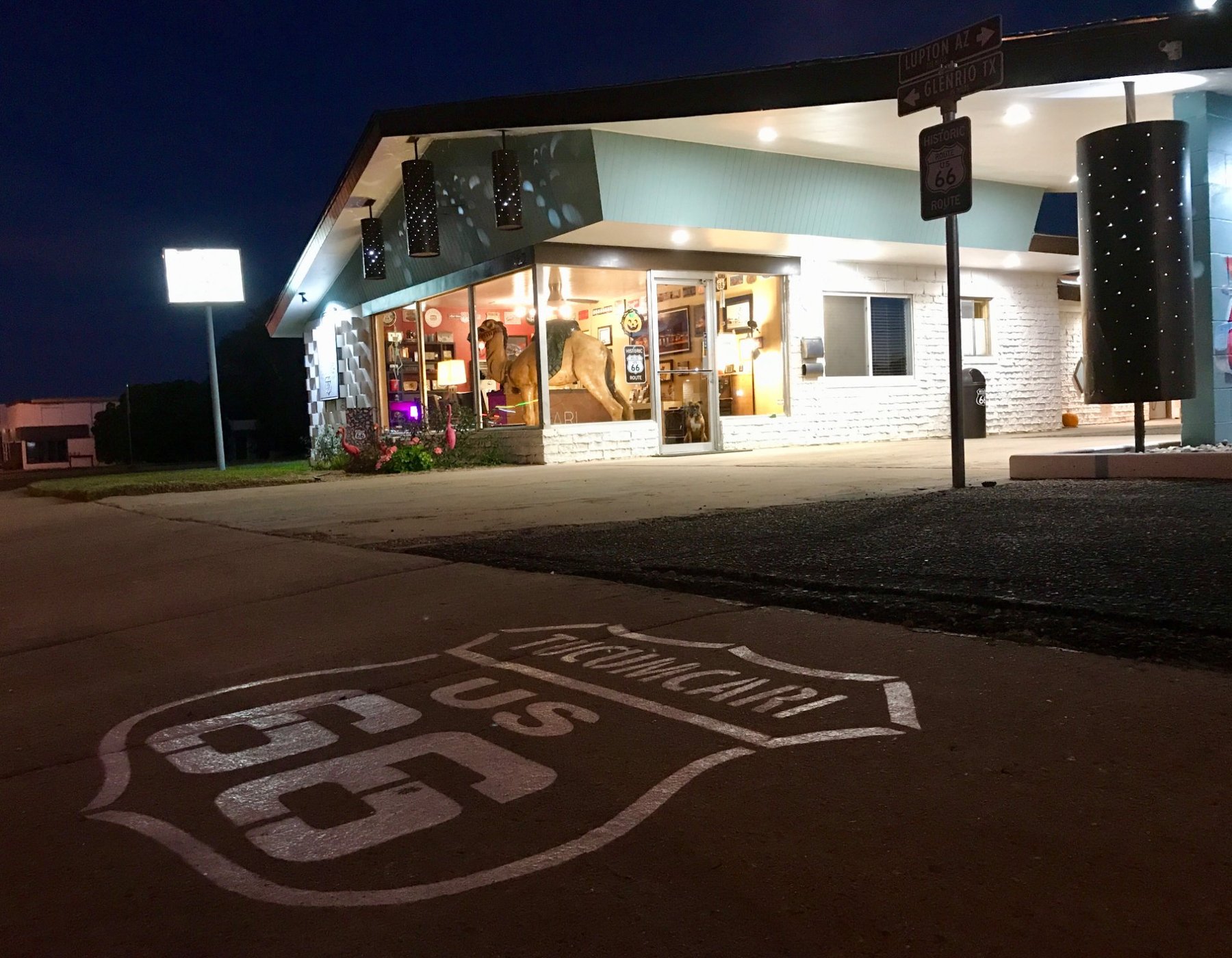 Motel Safari by null