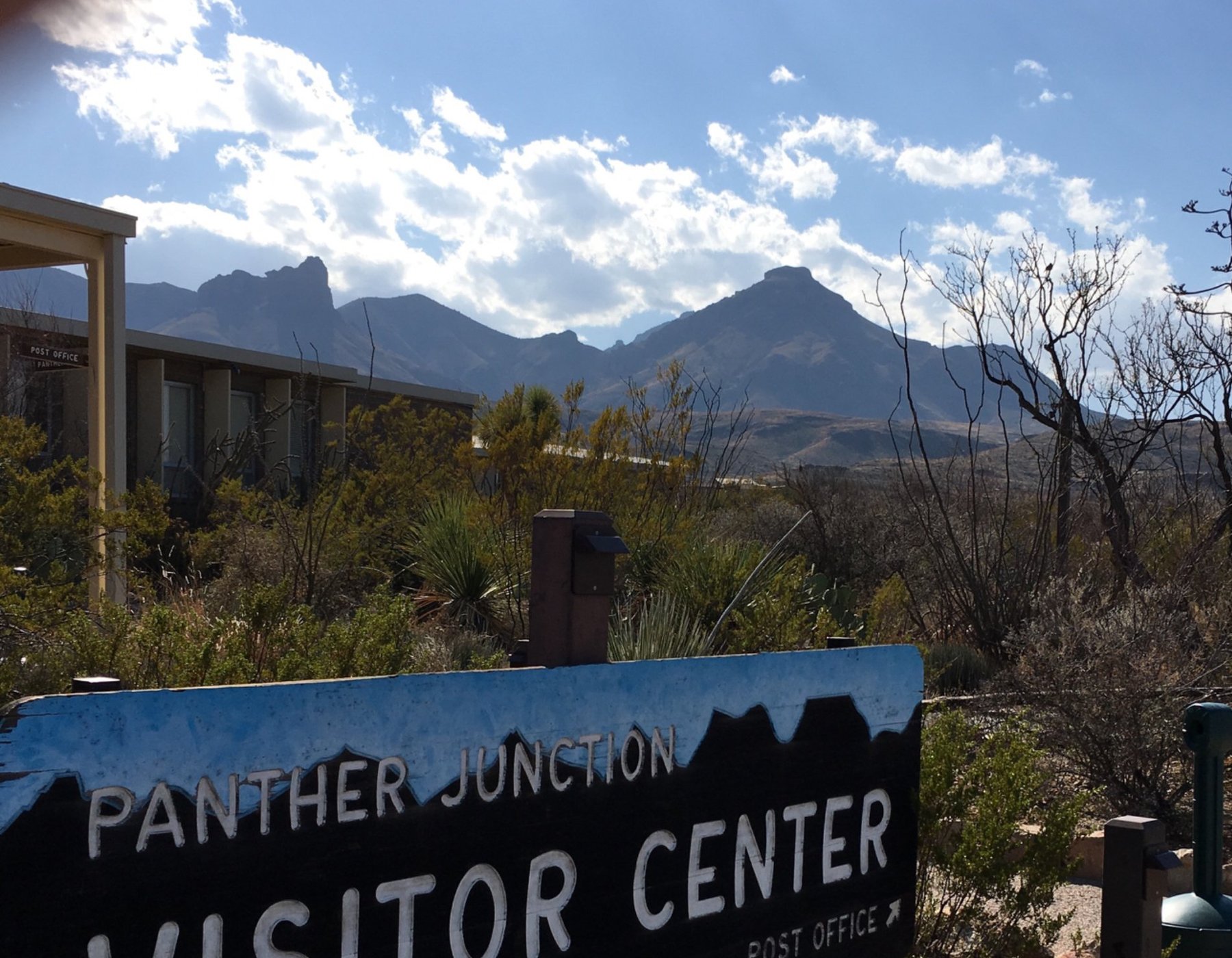 Chisos Basin Campground by null