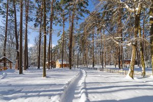 Номера и люксы