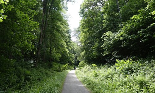 getlstd_property_photo