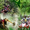 RainforestAdventures