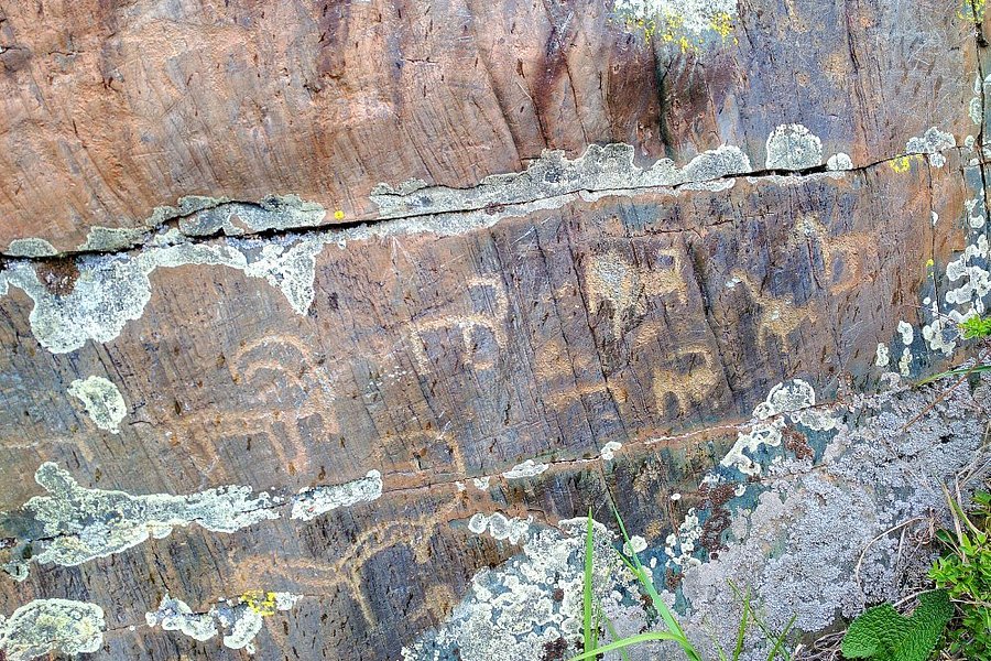 Altai Petroglyphs image