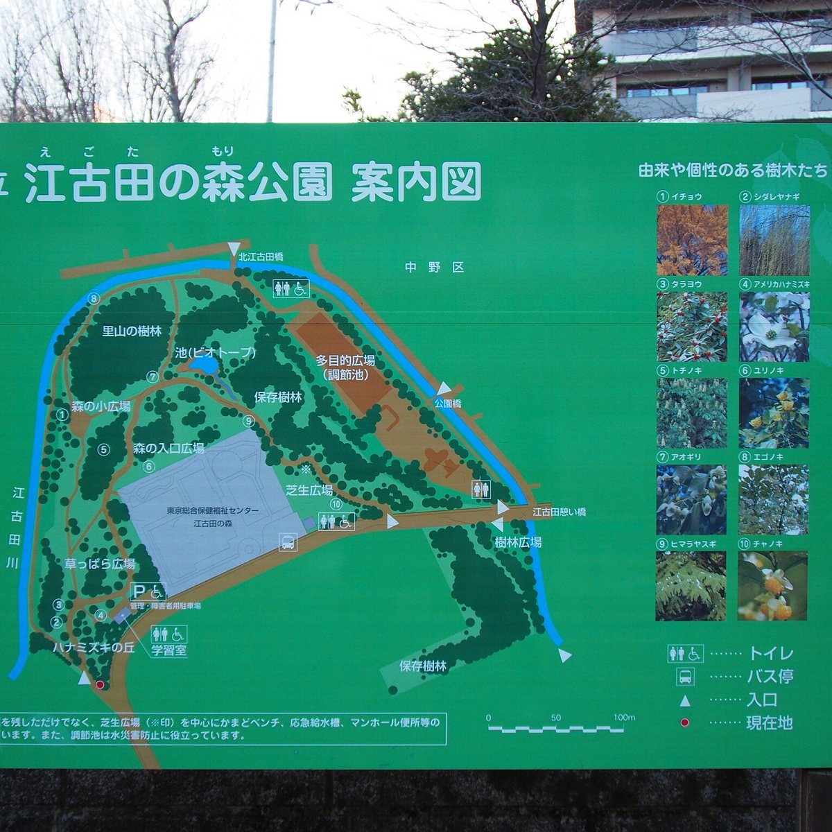 Egota No Mori Park Nakano All You Need To Know Before You Go