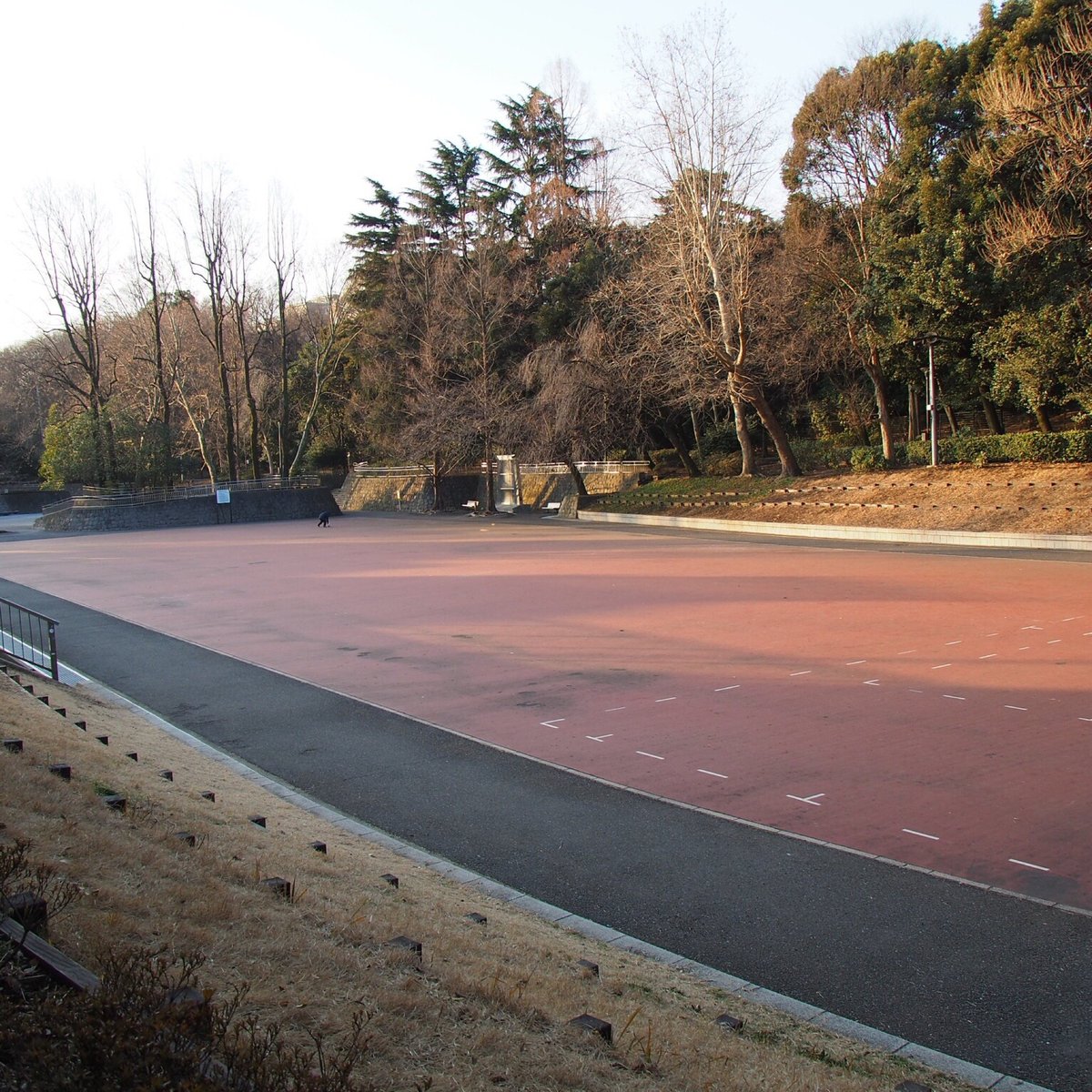 22年 江古田の森公園 行く前に 見どころをチェック トリップアドバイザー