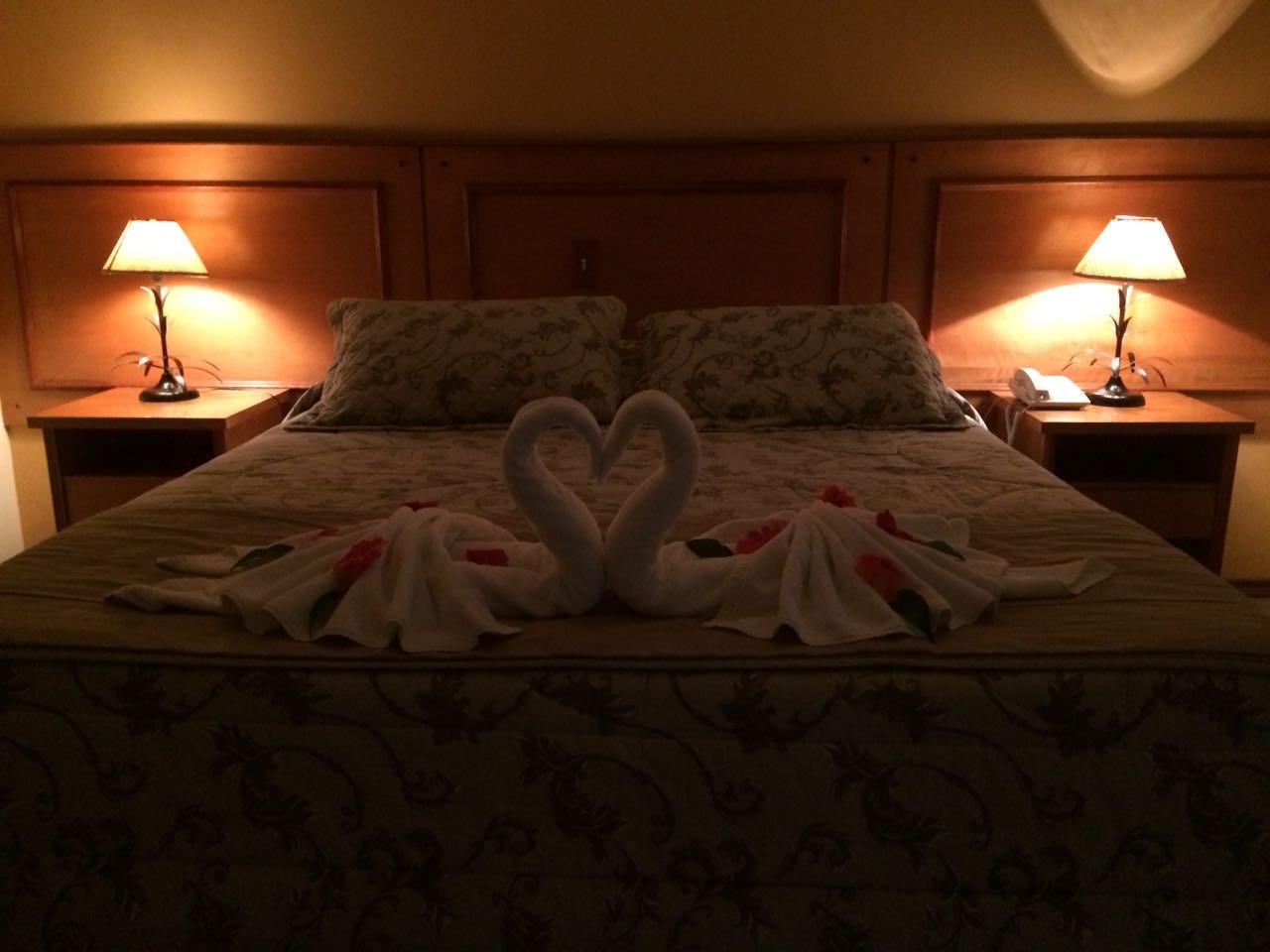 Hotel photo 11 of Pousada Alto D'ouro.