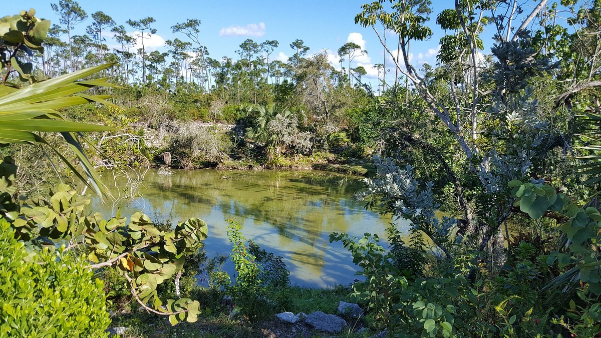 Rand Memorial Nature Center, Freeport