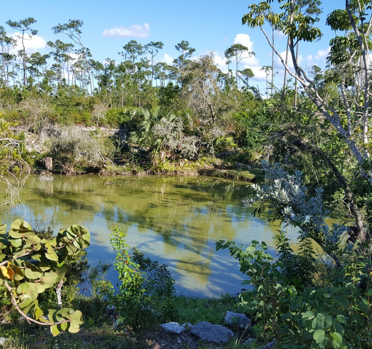 Rand Memorial Nature Center, Freeport