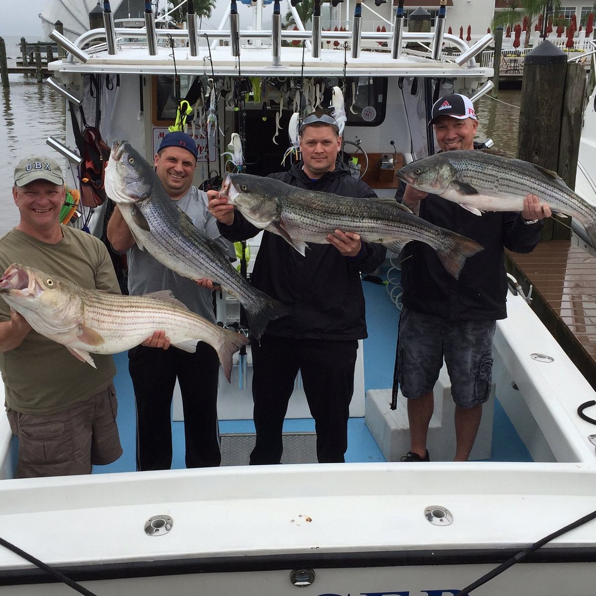 Teaser Charter Fishing (Baltimore) - All You Need to Know BEFORE You Go