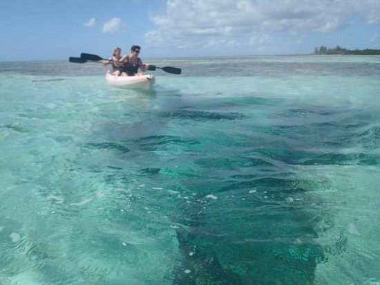 awesome adventure tours eleuthera