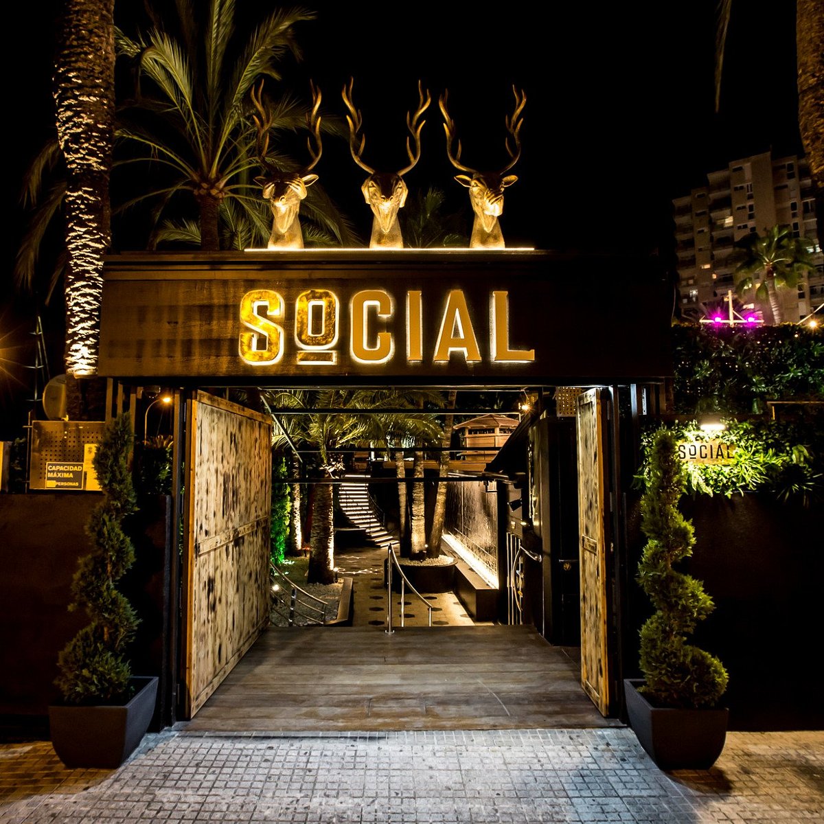 Social Club Mallorca (Palma de Mallorca) - All You Need to Know BEFORE You  Go