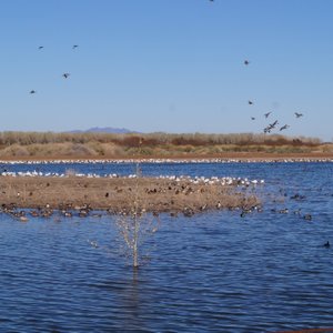 Yuma Crossing National Heritage Area - All You Need to Know BEFORE You Go