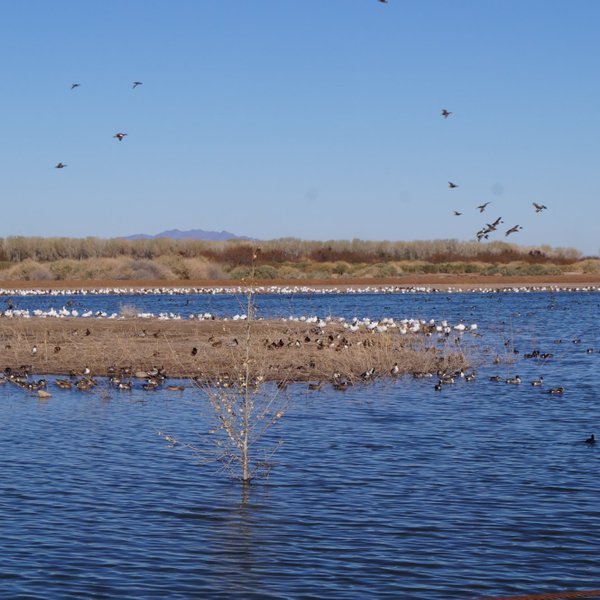 Yuma Crossing National Heritage Area - All You Need to Know BEFORE You Go