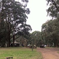 One Tree Hill Picnic Ground