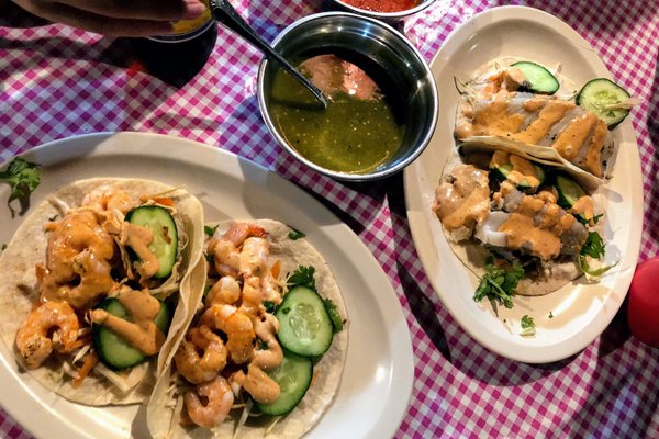 BICHOS, Sayulita - Menu, Prices & Restaurant Reviews - Tripadvisor