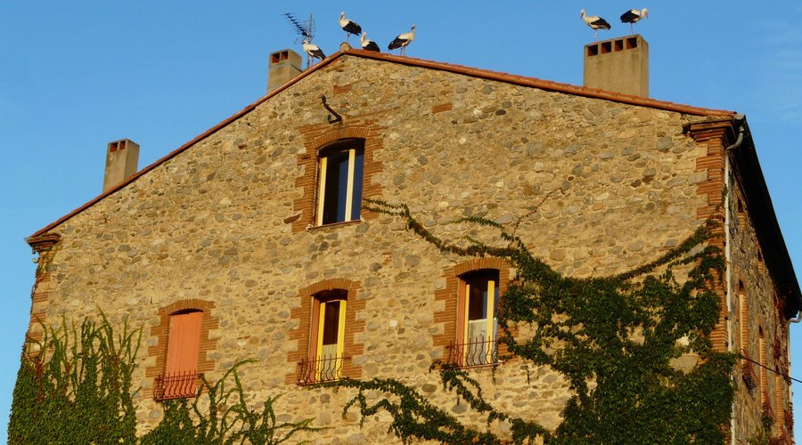 Maison d'hôtes Las Tanes