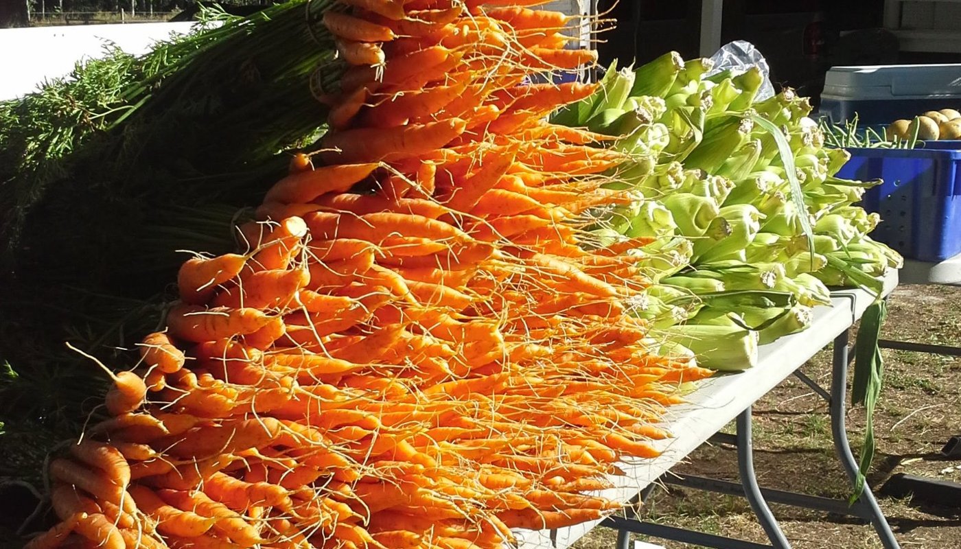 Powell River Farmers Market - 파월 강 - Powell River Farmers Market의 리뷰 - 트립어드바이저