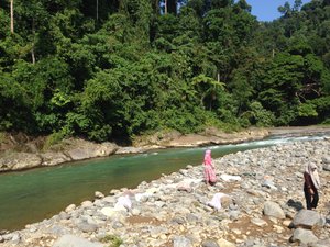 Wisatawan
