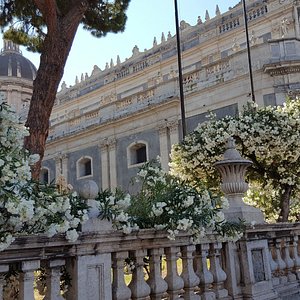 cattedrale di catania con oleandri in fiore...