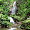 Things To Do in Kuzuryu Waterfall, Restaurants in Kuzuryu Waterfall