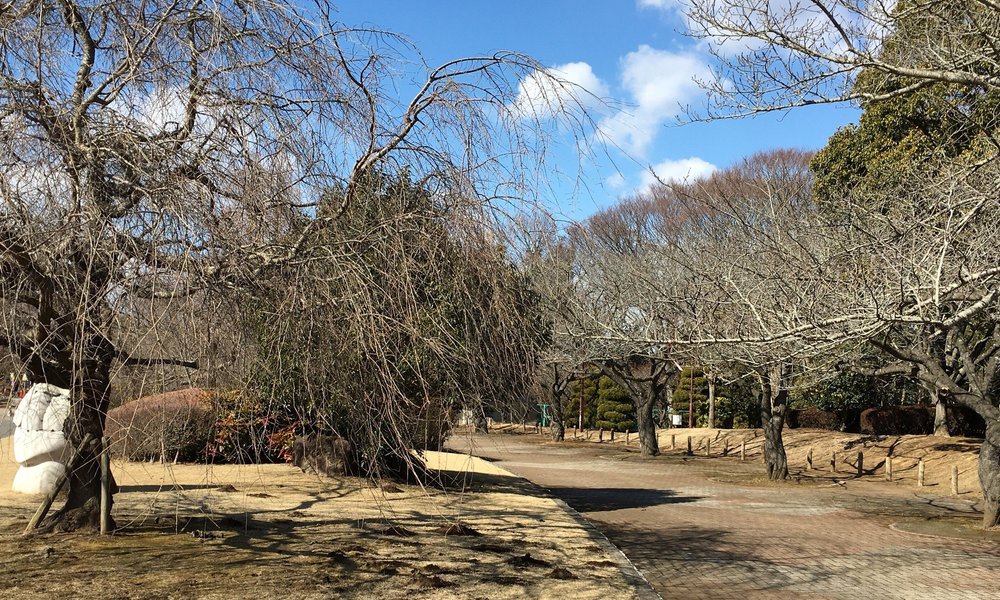 Turismo E Viagem Para Tokai Mura 21 Ferias Em Tokai Mura Tripadvisor