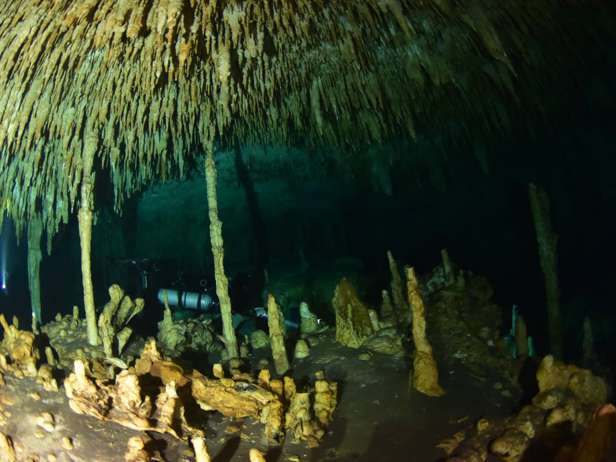 Cave Diving-Mexico (Tulum) - All You Need to Know BEFORE You Go