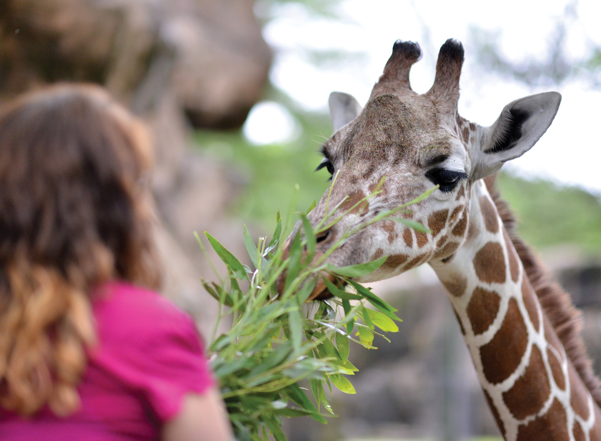 Philadelphia Zoo All You Need to Know BEFORE You Go 2024