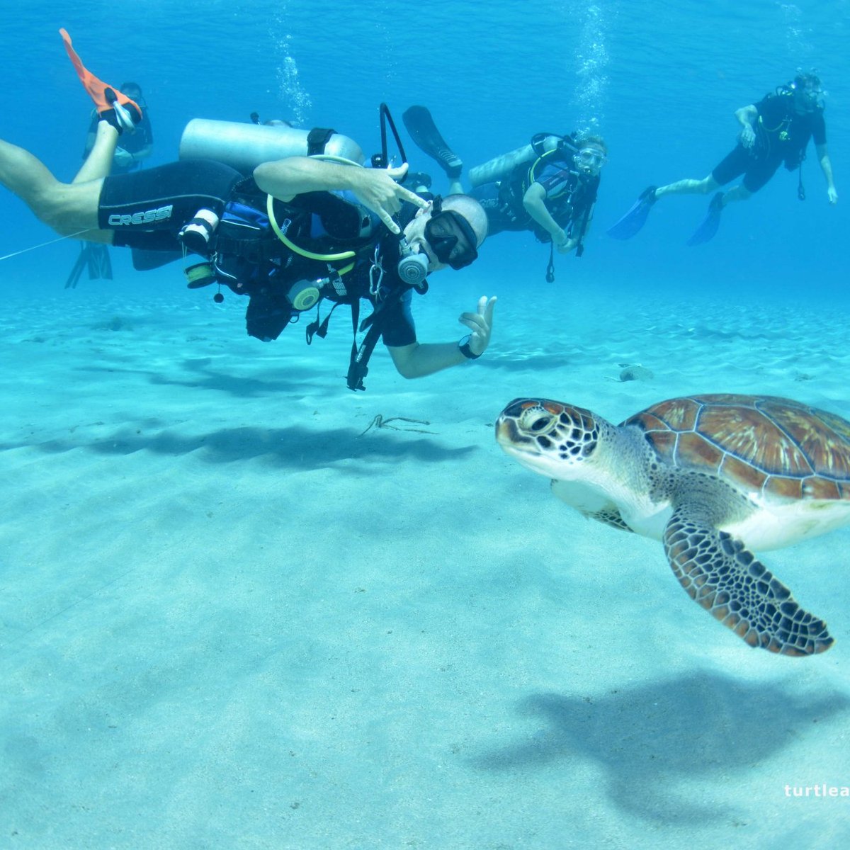 Curacao снорклинг