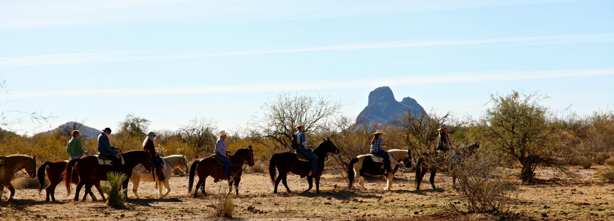 Flying E Ranch by null