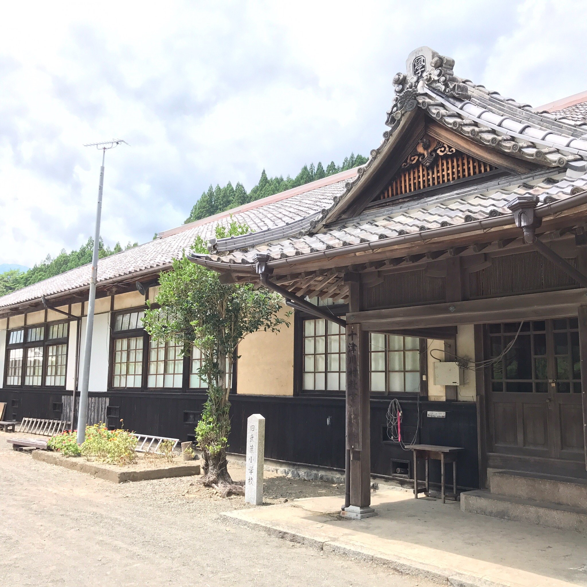 2024年 旧武蔵小学校としだれ桜 - 出発前に知っておくべきことすべて - トリップアドバイザー