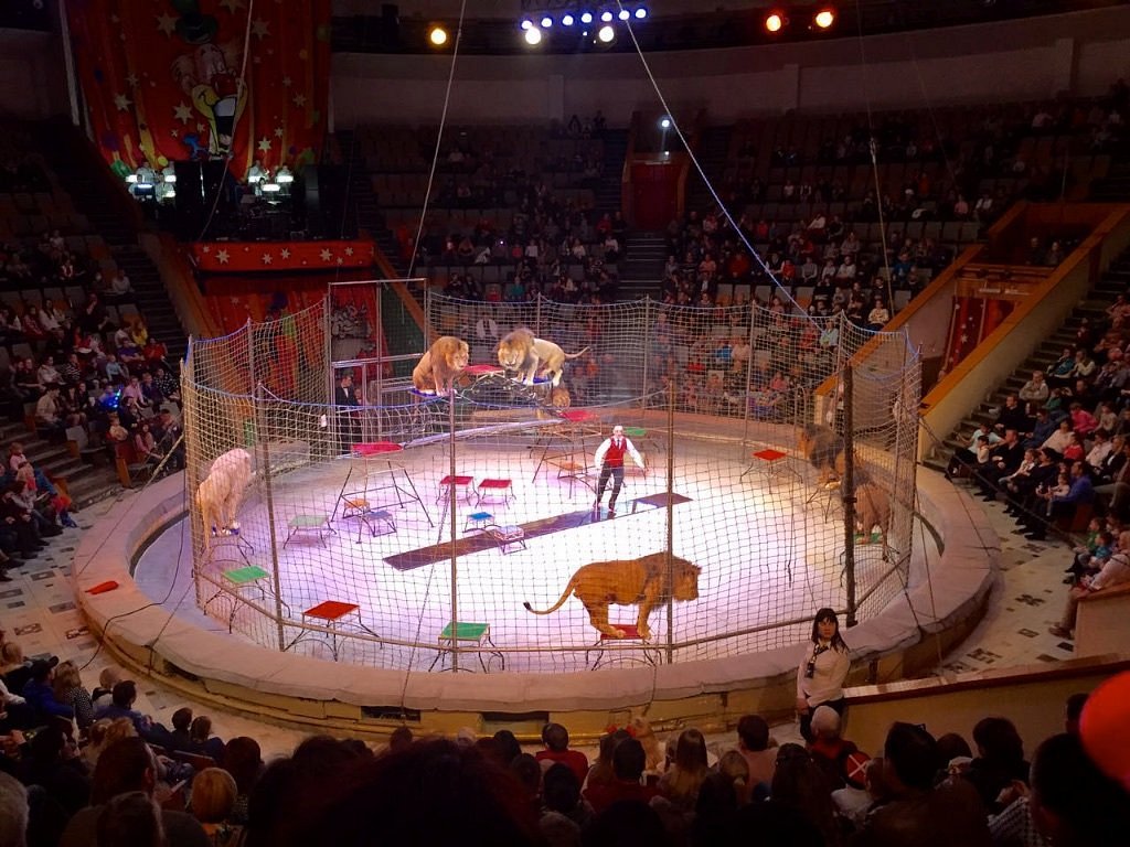 Krasnodar State Circus - Lohnt es sich? Aktuell für 2024 (Mit fotos)