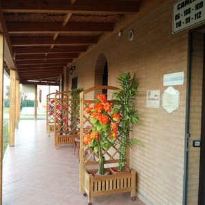 Hotel Oasi