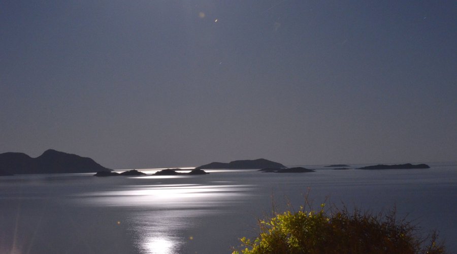 Moonlight