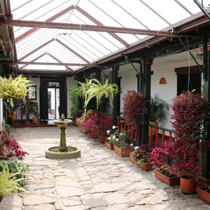 Patio de l'hôtel