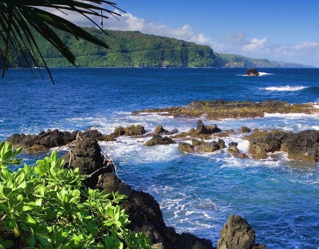 maui legend tours reviews
