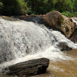 Tripadvisor  Arborismo en el huerto forestal - Campos do Jordão