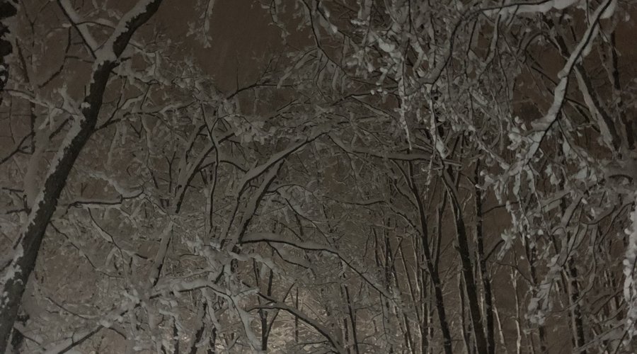 真白になろう。
into the white.