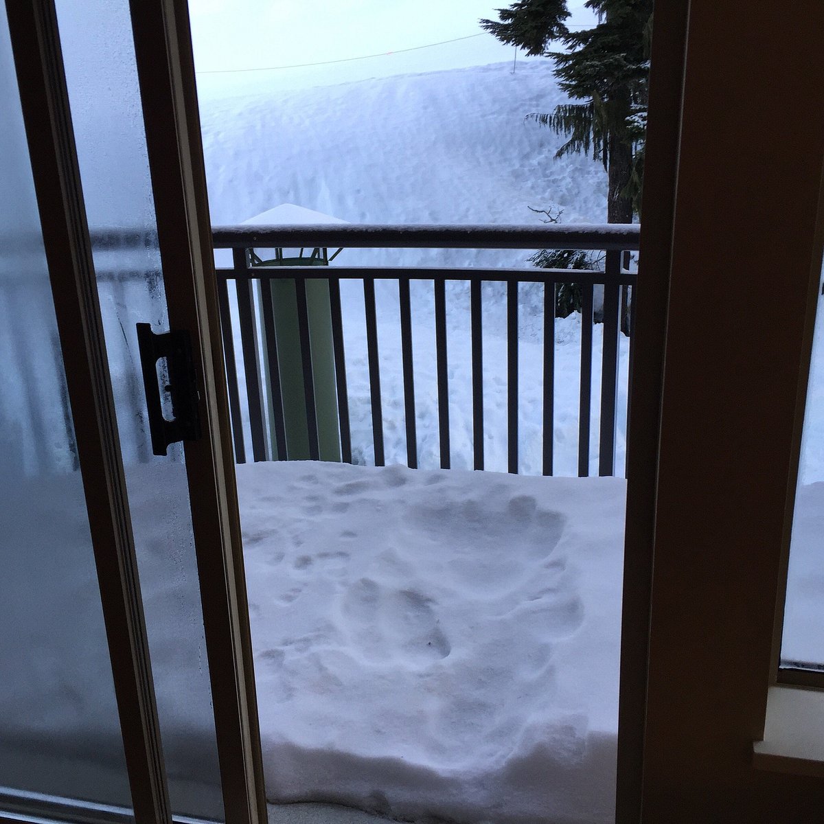 BEAR LODGE: 2021 Reviews (Mount Washington, Canada) - Photos of Lodge