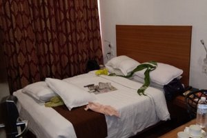 Room & Suite